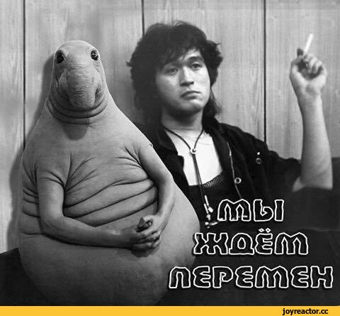 Мы ждем перемен